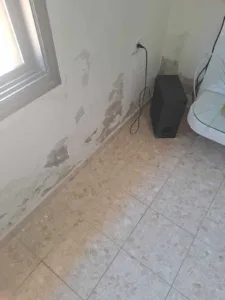 שמאי נזקי מים: המדריך המלא לטיפול בנזקי מים ורטיבות