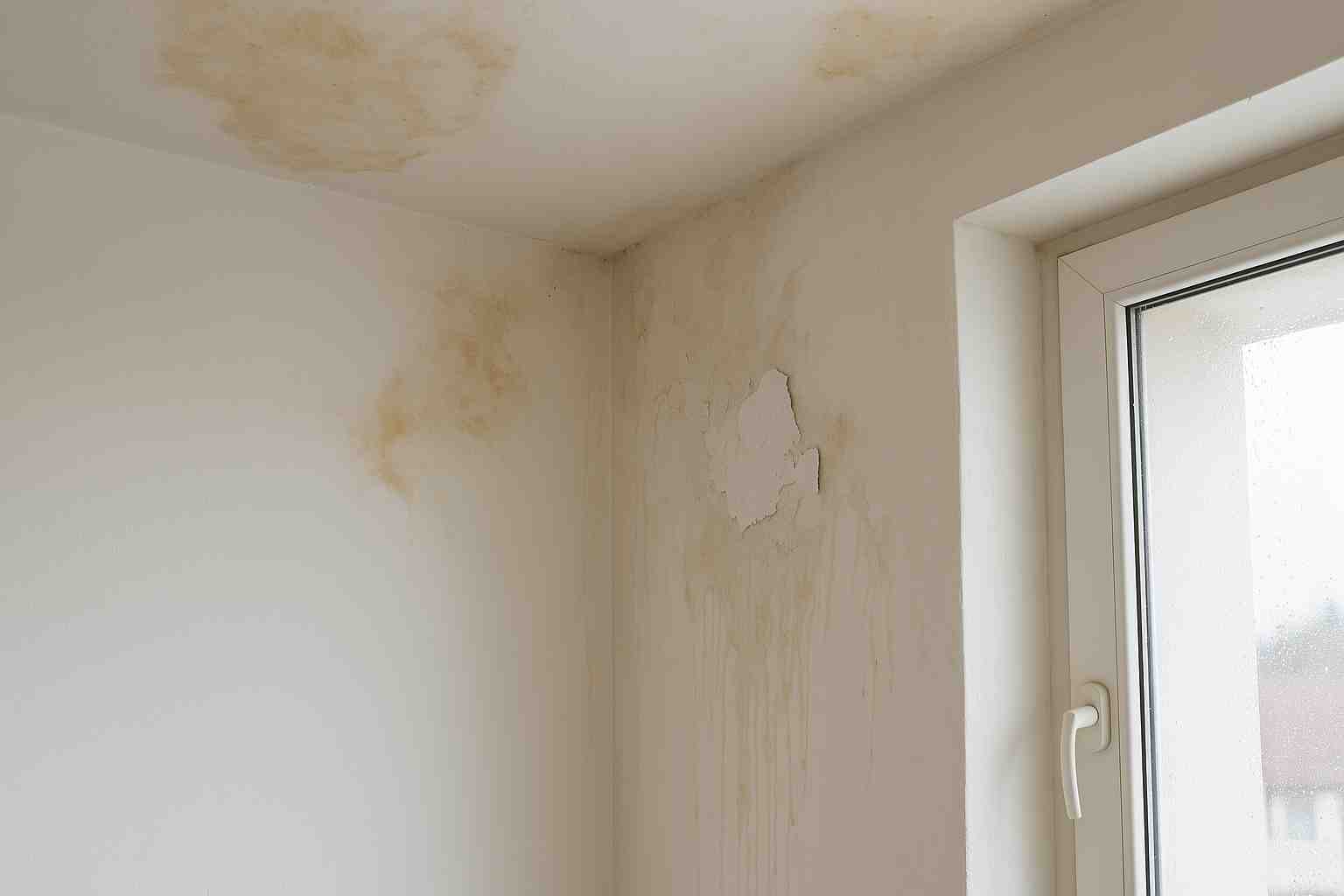 נזקי רטיבות בנכסים: איך מזהים, מטפלים ודואגים לפיצוי אמיתי