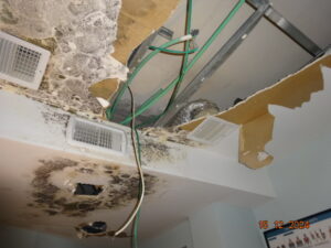 תביעה בגין נזק מים בדירה