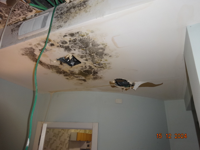 תביעה בגין נזק מים לדירה