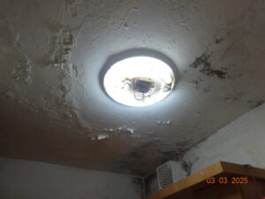 שמאי נזקי מים 