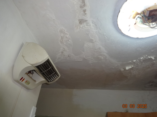 שאי נזקי נזילה מהשכן מלמעלה