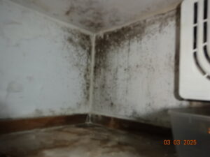 שמאי נזקי נזילות 