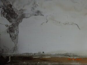 שמאי נזקי צנרת