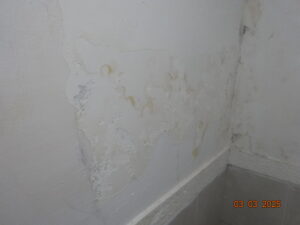 נזילה מהשכן מלמעלה