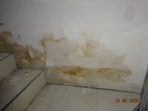 שמאי נזקי הצפות 